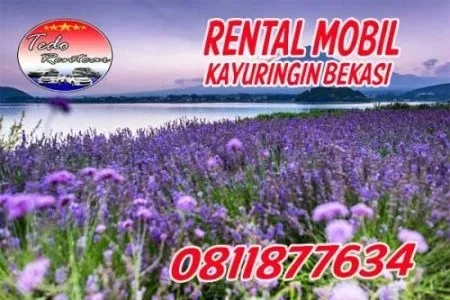 RENTAL MOBIL KAYURINGIN