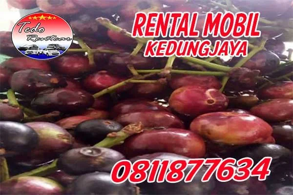 RENTAL MOBIL KEDUNG JAYA