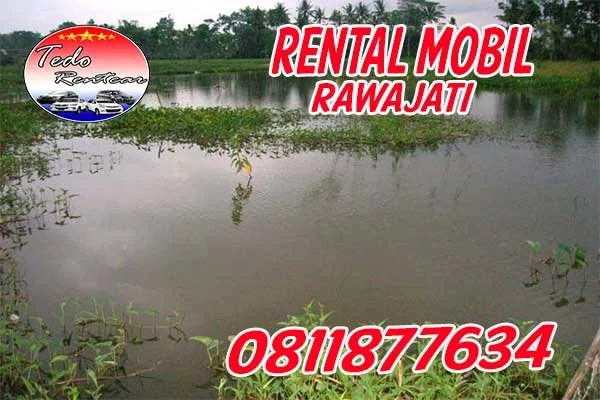 RENTAL MOBIL JATI