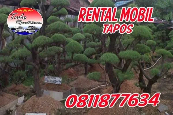 RENTAL MOBIL TAPOS DEPOK